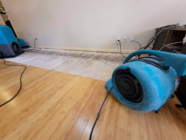 Professional Emergency Water Damage technician working in Fontana, CA